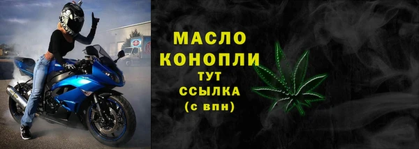 гидра Инсар