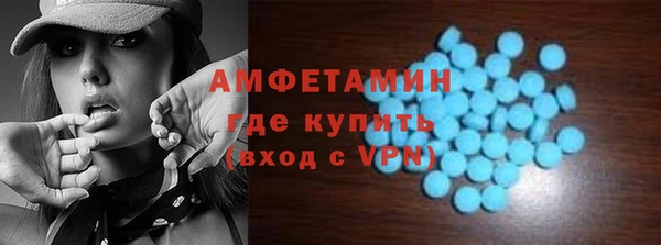 гидра Инсар