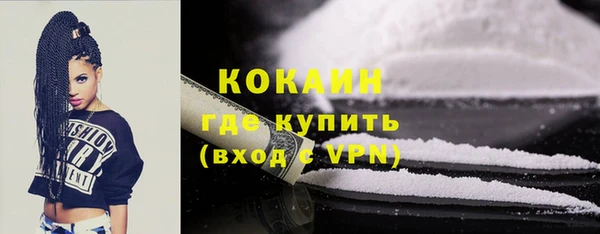 гидра Инсар
