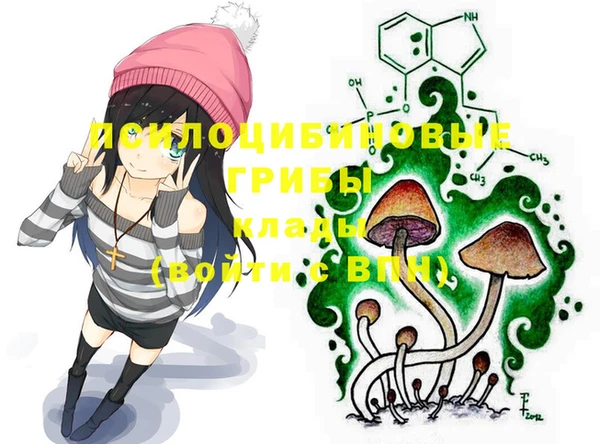 гидра Инсар