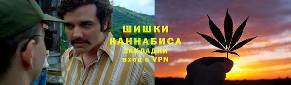 гидра Инсар