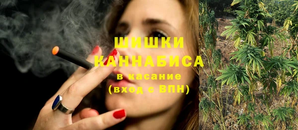 гидра Инсар