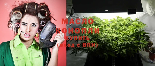 гидра Инсар
