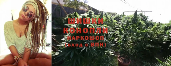 гидра Инсар