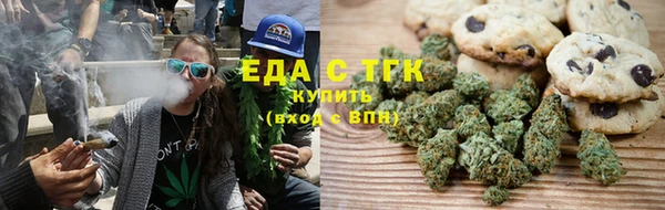 гидра Инсар