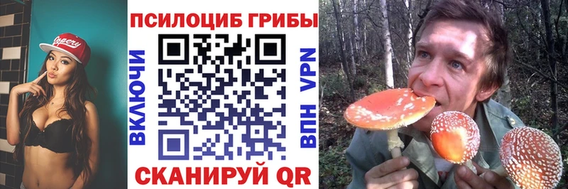 Купить где  Заозёрный  Псилоцибиновые грибы GOLDEN TEACHER 